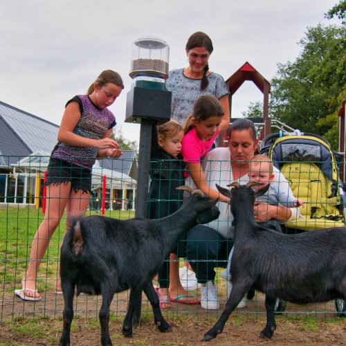 2020_speeltuin-05 2020_speeltuin-05