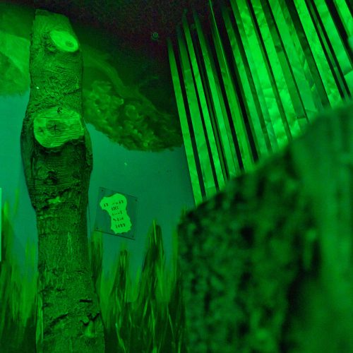 2021_escape-05 2021_escape-05